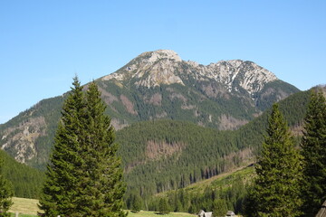 Beautiful landscape - Chocholowska Valley in Mountain - Poland