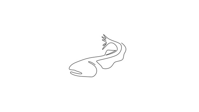 Animation of one single line drawing of big salmon for logo identity. Large lake fish mascot concept for fishing tournament icon. Continuous line self draw animated illustration. Full length motion.