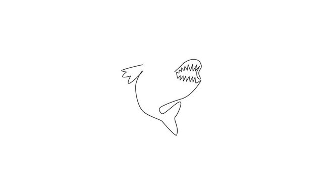 Animation of one single line drawing of angry piranha for logo identity. Amazon river fish mascot concept for monster creature icon. Continuous line self draw animated illustration. Full length motion