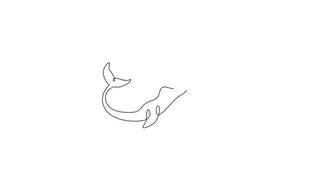 Animated self drawing of one continuous line draw cute narwhal with tusk for marine company logo identity. Unique narwhale mascot concept for fairy creature icon. Full length single line animation.