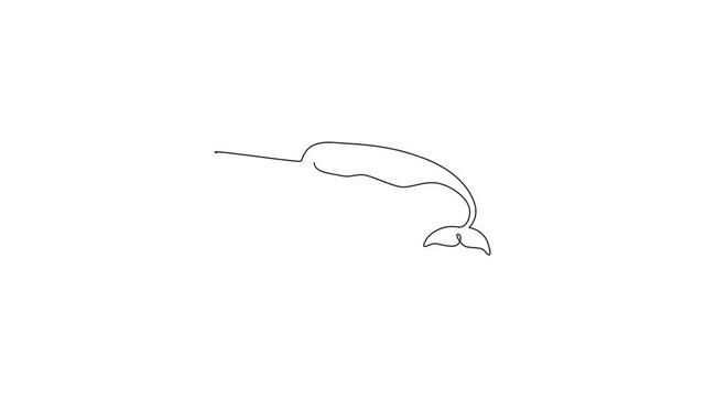 Animated self drawing of single continuous line draw adorable narwhal for logo identity. Narwhale animal mascot concept for magical creature icon. Full length one line animation illustration.