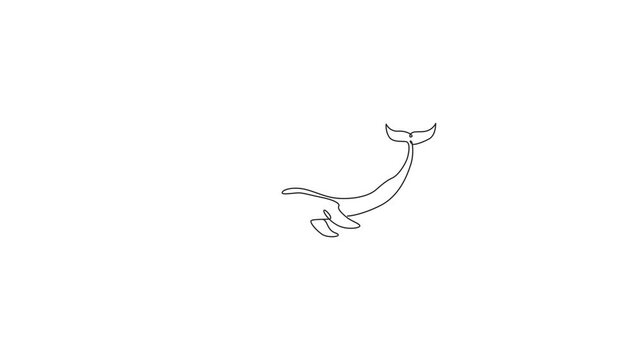 Animation of one single line drawing of funny cute narwhal for marine company logo. Big narwhale mascot concept for fairytale creature icon. Continuous line self draw animated. Full length motion.