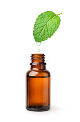 Essential oil mint dripping into amber bottle isolated on white background.