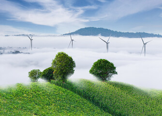 Sea of fog cover the green hill and trees on morning and have wind turbines field for generate clean power at far away.