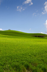 Fototapeta premium landscapes in the countryside of Tuscany in Italy