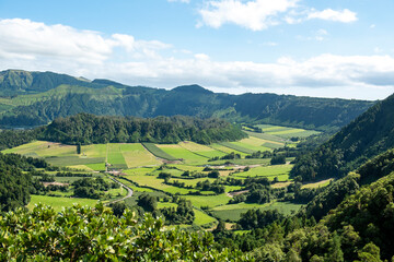 Fototapeta na wymiar Pastures and cornfields on the Sao Miguel island in the Portuguese Azores