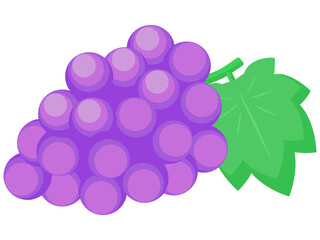 美味しいブドウのシンプルでかわいいイラスト