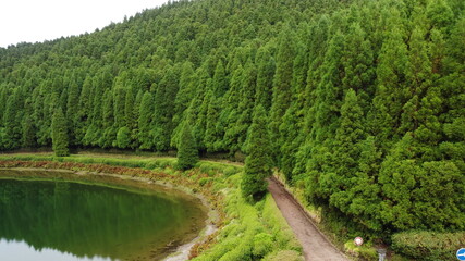 Fototapeta na wymiar The dense forest of the Sao Miguel island in the Azores, and the volcanic lake and the hiking trail