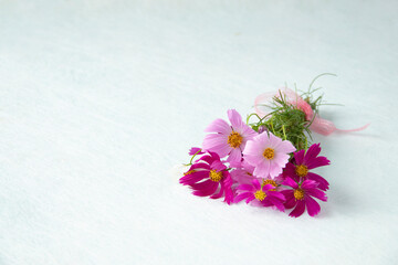 ピンクと白のコスモスの花束