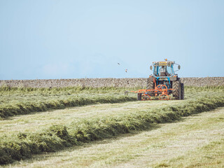 Farmers preparing hay to be baled
