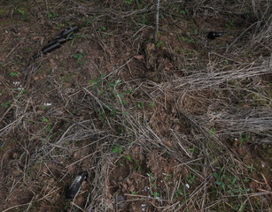 Glass bottle waste