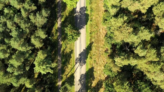 Vertical aerial view of a German country road running dead straight through a dense forest