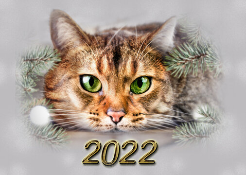 Happy New Year 2022, numbers,cat, christmas, new year cat, santa,  New Year’s card
