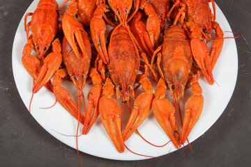 boiled crayfish on a white plate, dark concrete background