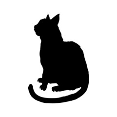 black silhouette of a cat with a long fluffy plush tail, white background