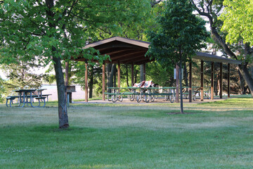 person in the park