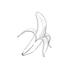 Sketch ink vintage banana illustration, draft silhouette drawing, black isolated on white background.