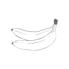 Sketch ink vintage banana illustration, draft silhouette drawing, black isolated on white background.