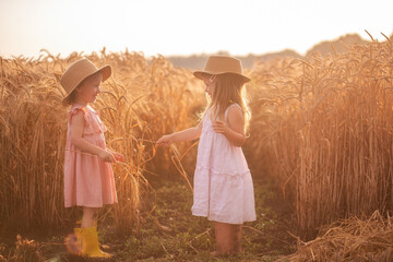 Girlfriends tickle each other's nose with spikelets of rye. Little girls in straw hat are having fun