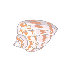 Cute pink sea shell. Hand drawn illustration vector.