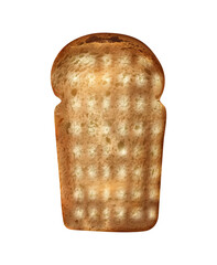 Realistic Bread Slice