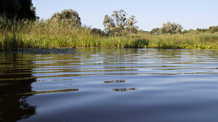 River calm surface of water close up. Rural scene. Peaceful landscape. Natural background. Wallpaper.