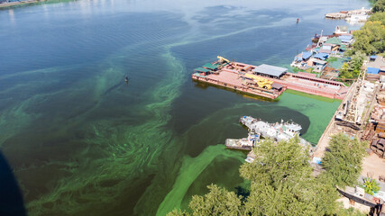 Water pollution by blooming blue-green algae - Cyanobacteria is world environmental problem. Water...
