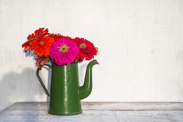 Summer greeting card; Bunch of red zinnia flowers in vintage coffee pot on white paint wooden background; copy space