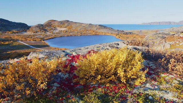 Tundra in Russia. Autumn landscape of the Arctic tundra near Teriberka village, Russia
