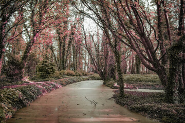 Vibrant Forest With Natural Waterscape
