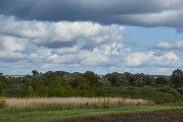 Obraz premium Scenery from a trip to the forest for mushrooms. September 2021.