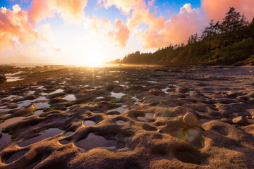 Obraz premium Botanical Beach on the West Coast of Pacific Ocean. Dramatic Sunset Sky Art Render. Canadian Nature Landscape Background. Located in Port Renfrew near Victoria, Vancouver Island, BC, Canada.