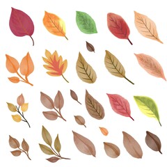 autumn leaves collections
