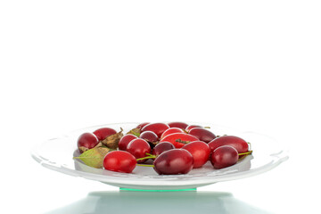 Several bright red ripe dogwood berries in a ceramic bowl, close-up, isolated on white.