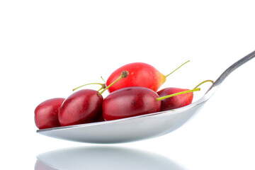 Several bright red ripe dogwood berries in a metal spoon, close-up, isolated on white.
