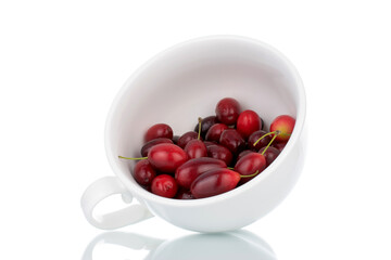 Several bright red ripe dogwood berries in a ceramic bowl, close-up, isolated on white.