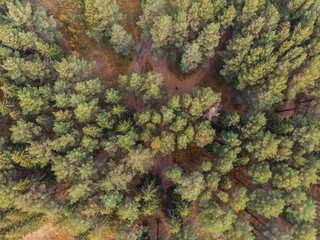 Natural background. Autumn nature from a height.