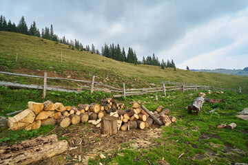 Chopped firewood for the winter outside. Amazing nature background with forewood