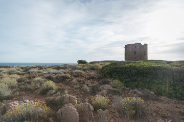 Fototapeta na wymiar The tower of Cala Domestica 