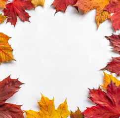Autumnal leaves frame on white background with copy space. Autumn concept. Flat lay composition,...