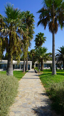 Obraz premium hotel grounds garden palm trees flowers shrubs path lawn cyprus summer vacation garden resort summer