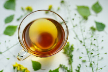 Green tea in a transparent glass cup. Herbs and flowers on a white table around a mug with a drink