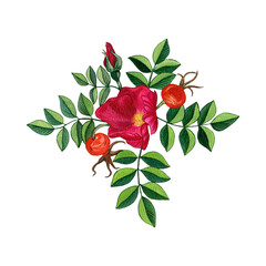 Abstract rose hip on white background, watercolour illustration. Separate element on a white background. Watercolour illustration hand painted. 
Perfect for card design, wedding invitations.