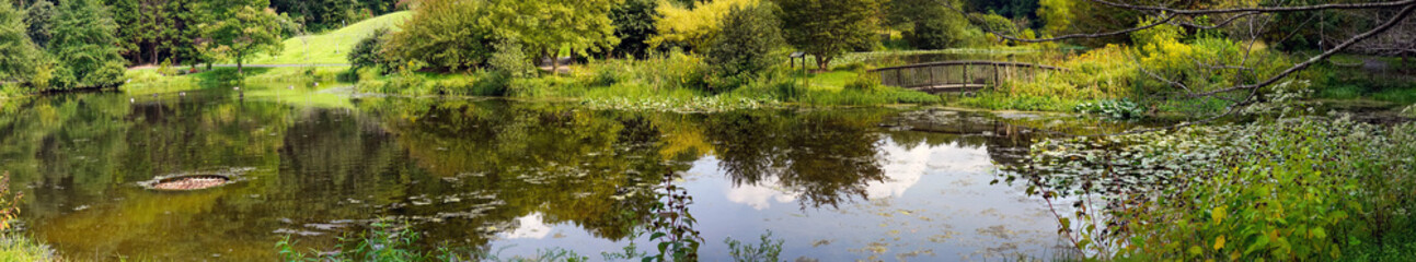 Panorama of summer park pond.                         