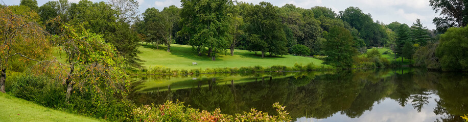 Panorama of summer park pond.                         