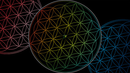 Flower of life wallpaper