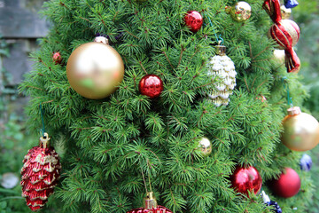 Fancy decorations on a green Christmas tree: small golden and red balls, candies, pine cones. Close up photo of decorated fir tree. 