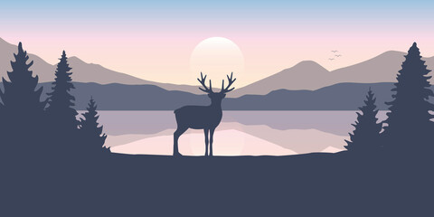 Fototapeta premium reindeer by the lake at sunrise wildlife nature landscape