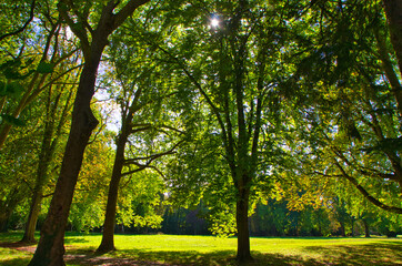 Landschaft bei Mortefontaine im Val d'Oise