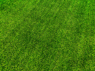 Green grass texture background grass garden  concept used for making green background football pitch, Grass Golf,  green lawn pattern textured background.